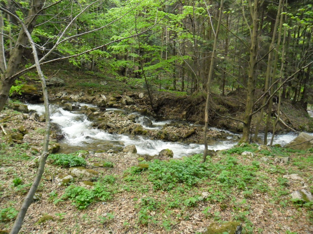 SAM_0553