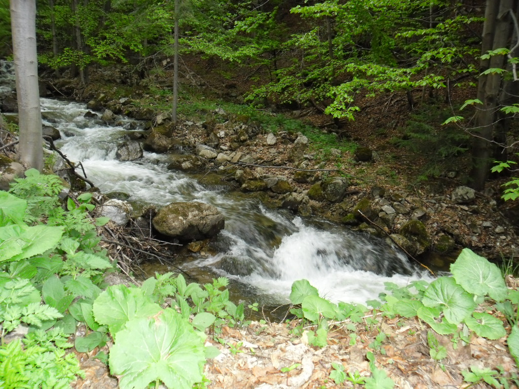 SAM_0556