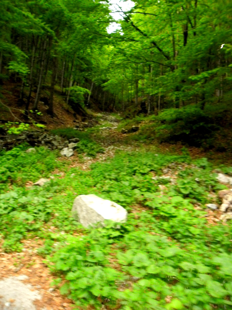 SAM_0511